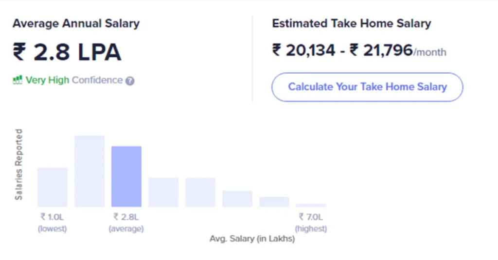 Website Developer - Highest Paying Digital Marketing Jobs in India   